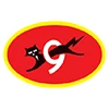 eveready company