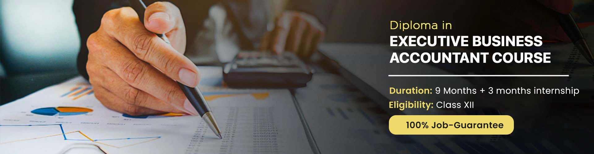 diploma In executive business accountant course